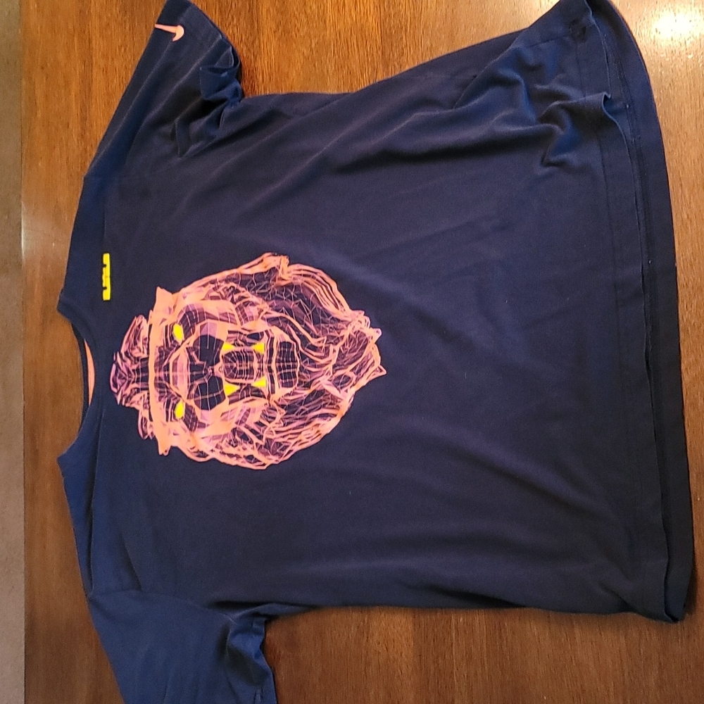 Nike Dri-Fit Lebron James Lion tee shirt